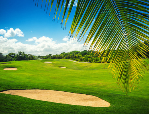 CVMI GOLF Course1
