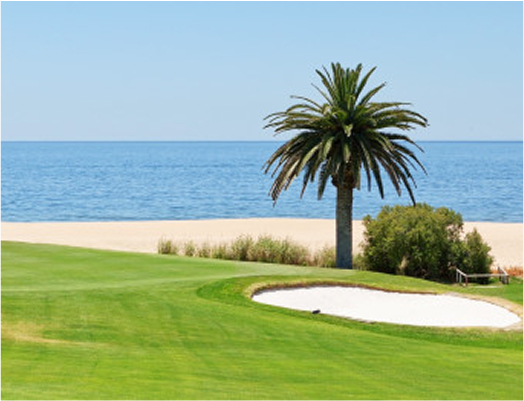 CVMI GOLF Course4