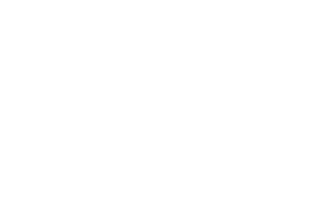 Logo CVMI white