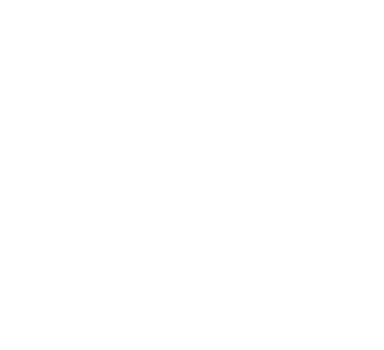 CVMI Blanc-03 1