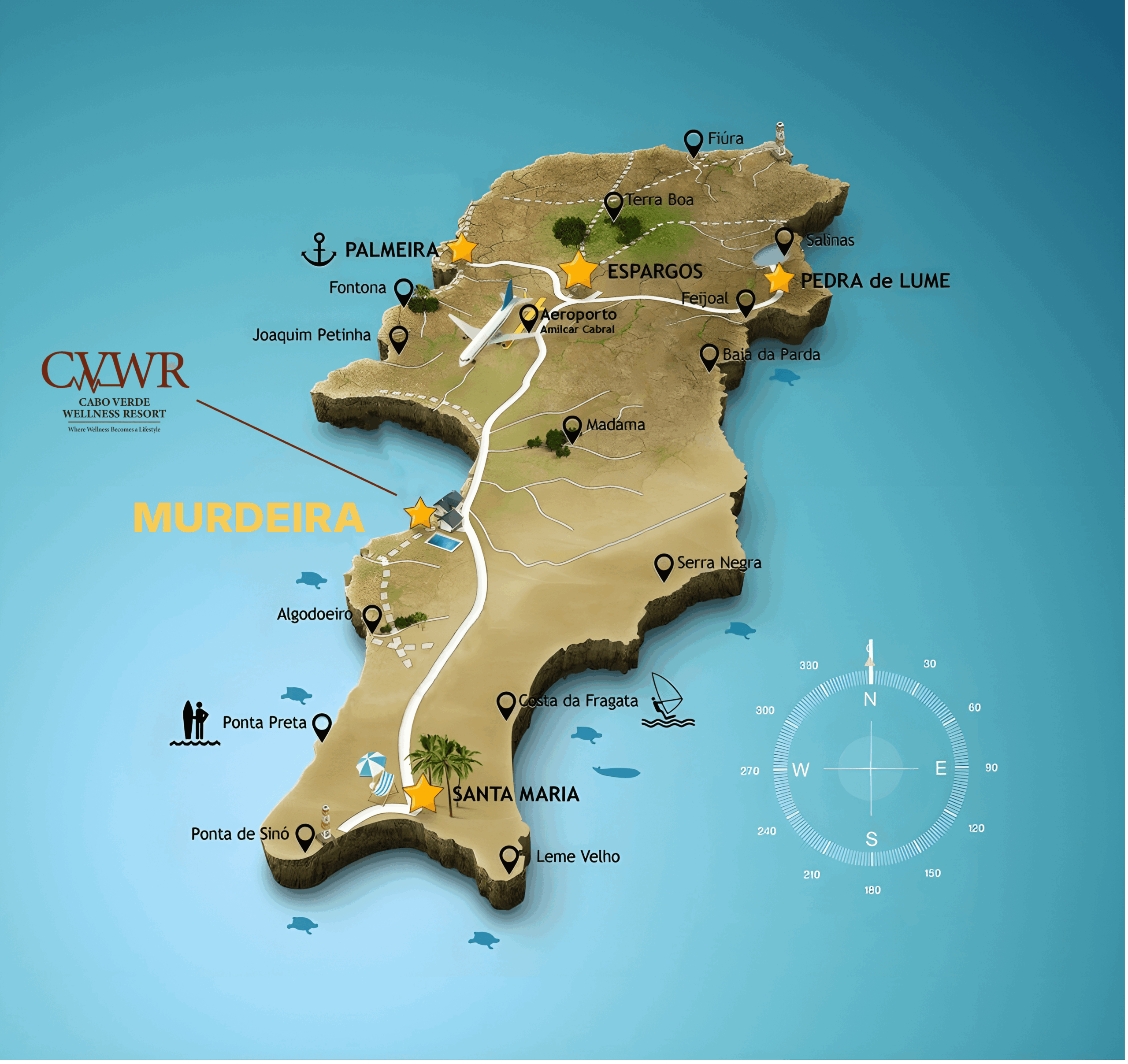 CVMI designed for wellness